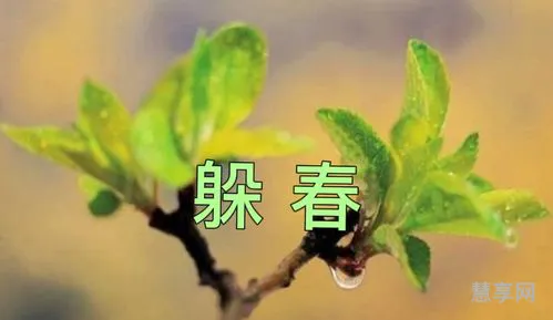 什么是躲春为什么要躲春(躲春怎么躲)
