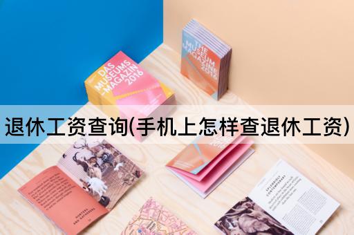 退休工资查询(手机上怎样查退休工资)