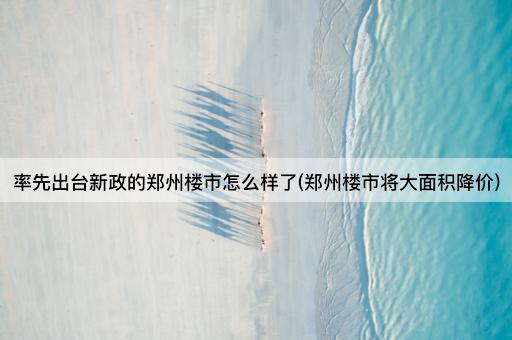 率先出台新政的郑州楼市怎么样了(郑州楼市将大面积降价)