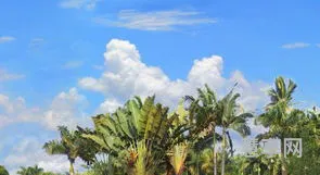 湛江南亚热带植物园(湛江植物园门票多少钱)
