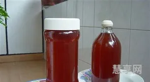家庭自制葡萄酒(自制葡萄酒可以喝吗)
