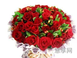 玫瑰花数量的含义(1～100朵玫瑰含义)