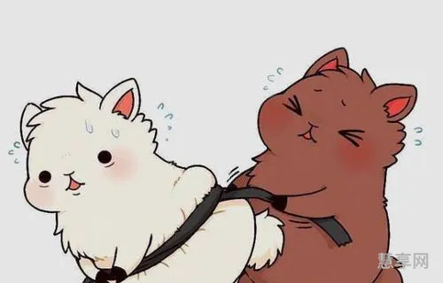 蹄组词和拼音(蹄有几个读音)