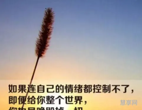 最透彻的人生感悟(人生感悟 :致自己 !(精辟))