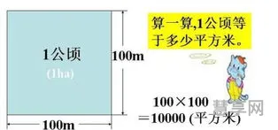 1公顷等于多少米(公顷单位换算表大全)
