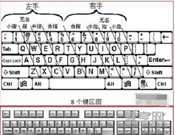 正确的打字方法(怎么学会打字)