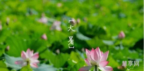 大暑是几月几日(二十四节气表)