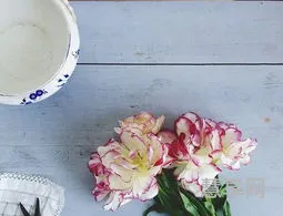 一石二鸟的意思(一石二鸟是寓言故事)