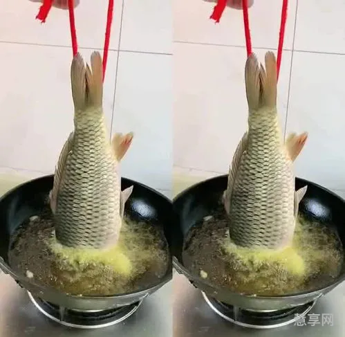 鱼怎么做才好吃(家庭炖鱼的简单做法)