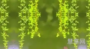 描写春天的词(用二个字形容春天)