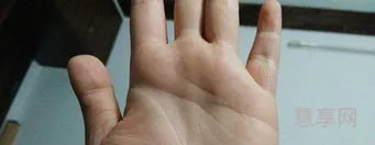 断掌是什么意思(男人断掌纹是什么命)