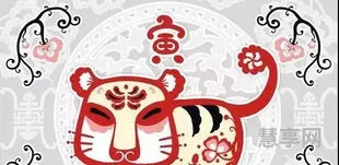 生来死去九条命是什么生肖(九条命最佳生肖)