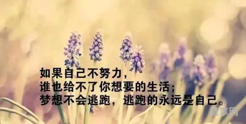女人致自己的句子(很现实的一段话致女人)