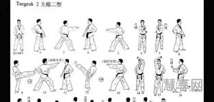 跆拳道太极二章(太极二章分解18个动作)