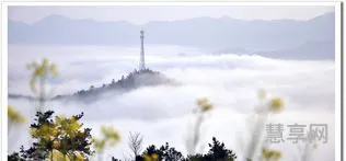 明月出天山苍茫云海间(月下飞天镜,云生结海楼描绘画面)