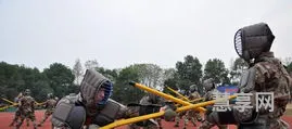 短兵相接是什么生肖(短兵相接代表什么动物)