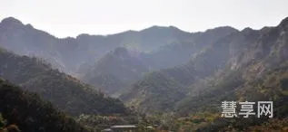 花明又一村是什么生肖(花明又一村打一最佳动物)