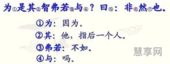 为是其智弗若与(智虽弗及的及翻译)