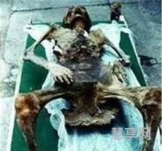 千年古尸产下活婴(千年怨气女尸产子后续)