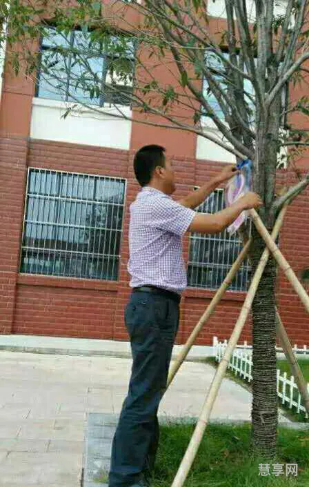 发生在校园里的一件事(校园里难忘的一件事优秀作文)