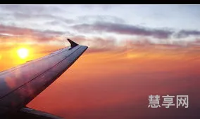 翱翔之翼怎么做(翼飞冲天任务怎么做)