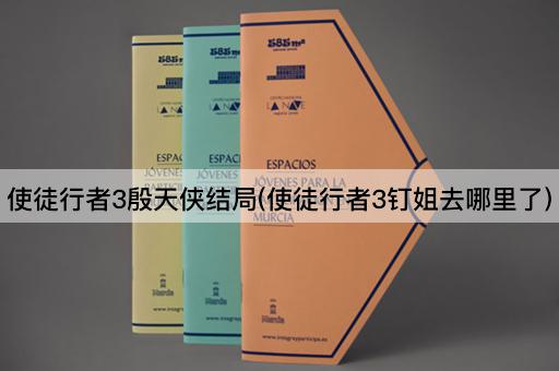 使徒行者3殷天侠结局(使徒行者3钉姐去哪里了)
