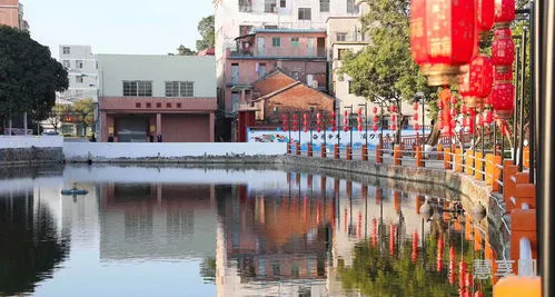 高埗旅游景点大全(东莞高埗附近景点)