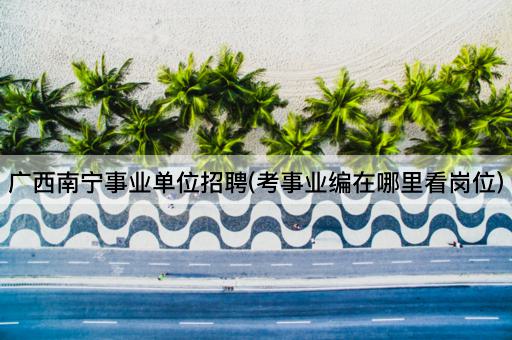 广西南宁事业单位招聘(考事业编在哪里看岗位)