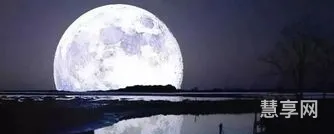 八月十五夜月(八月十五夜月其一杜甫翻译)