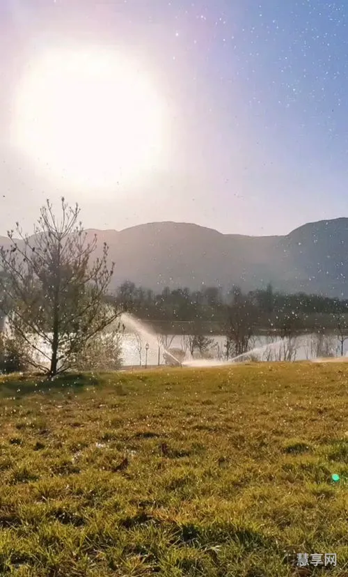 阳光明媚的日子(向阳而生,逐光而行,心有暖阳,何惧人生沧桑)