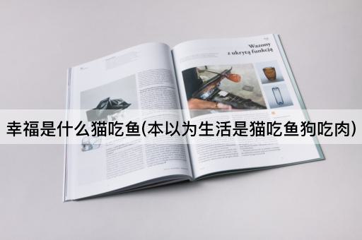 幸福是什么猫吃鱼(本以为生活是猫吃鱼狗吃肉)