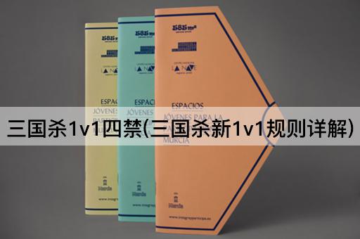 三国杀1v1四禁(三国杀新1v1规则详解)
