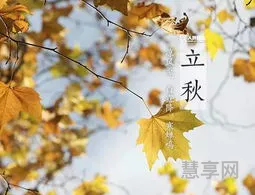 立秋是秋天了吗(立冬是指秋天结束嘛)
