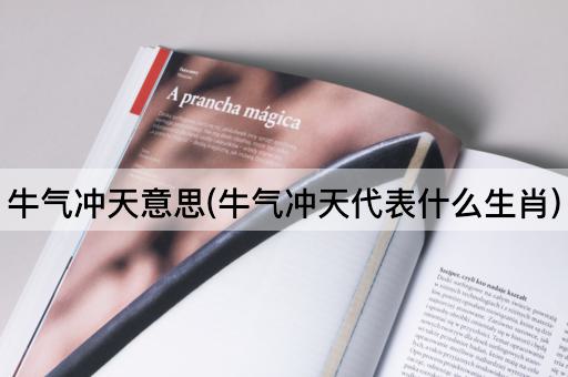 牛气冲天意思(牛气冲天代表什么生肖)