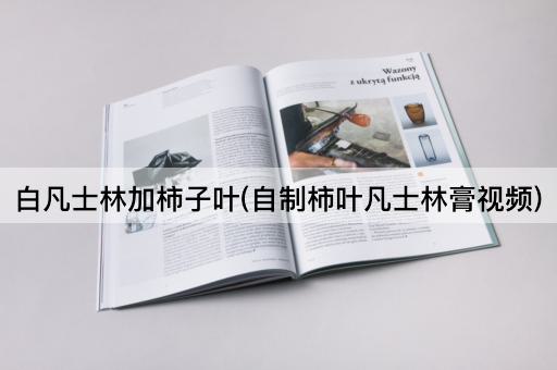 白凡士林加柿子叶(自制柿叶凡士林膏视频)