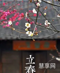 2019年哪天立春几点(2020年2月4号几点几分立春?)