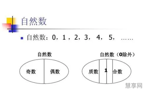 自然数包括什么(自然数有哪些概念)