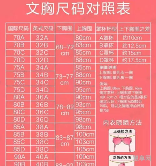 胸罩ABCD尺码表(胸罩尺寸表 对照表)
