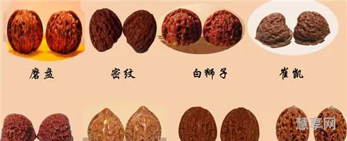 文玩核桃种类(十大最顶级的文玩核桃)