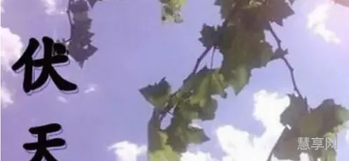什么时候暑伏第一天(暑伏是从哪天开始哪天结束)