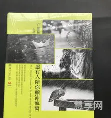 颠沛流离的意思的简单介绍(颠沛流离的含义是什么)