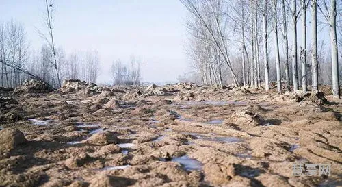 地震是怎样发生的(中国唯一没有地震的省份)
