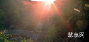 王维的赠别诗(王维的《送别》)