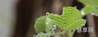 我是一颗小水珠(一颗小水滴的故事)