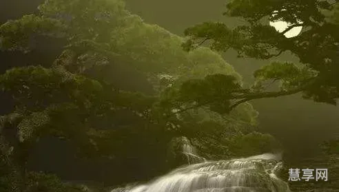 明月松间照清泉石上流(明月松间照全诗解释)