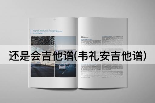 还是会吉他谱(韦礼安吉他谱)