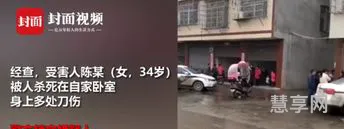 金色琴弦2f安可(安睡吧小宝贝丁香红玫瑰)