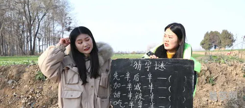 加一半减一半(猜一个字谜减一半)