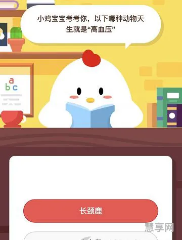 什么动物天生就是高血压(高血压打一生肖)