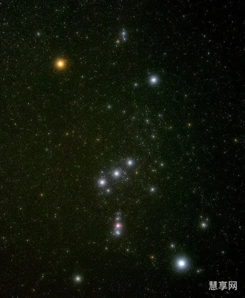 朴树猎户星座(朴树近况如何)